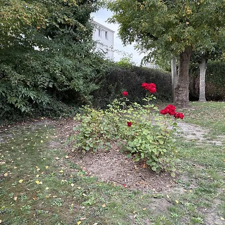 Rozenhof * Armentières